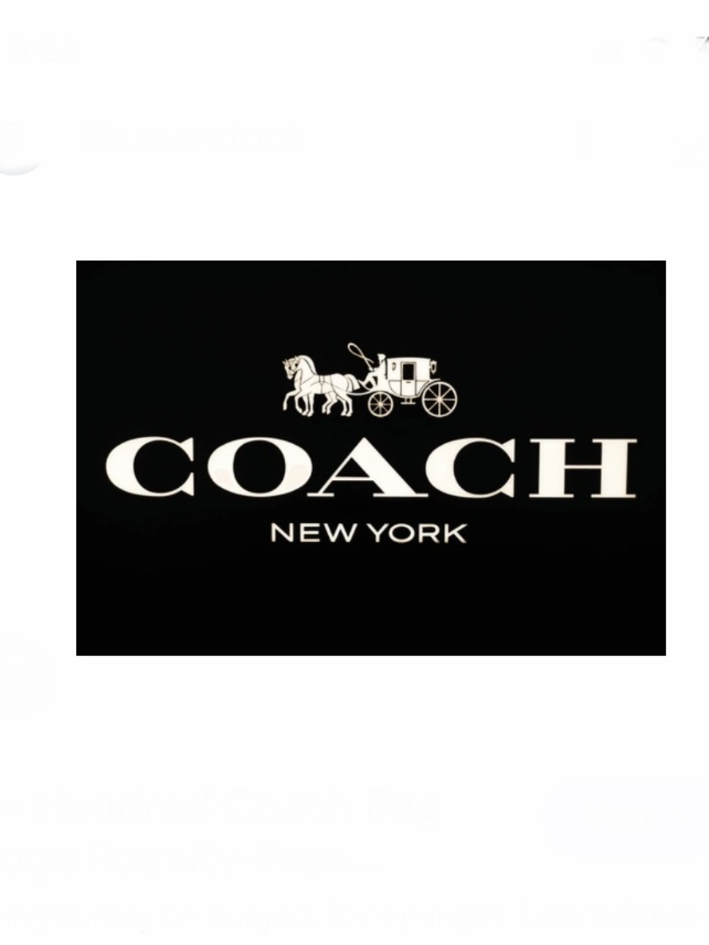 Coach jewelry